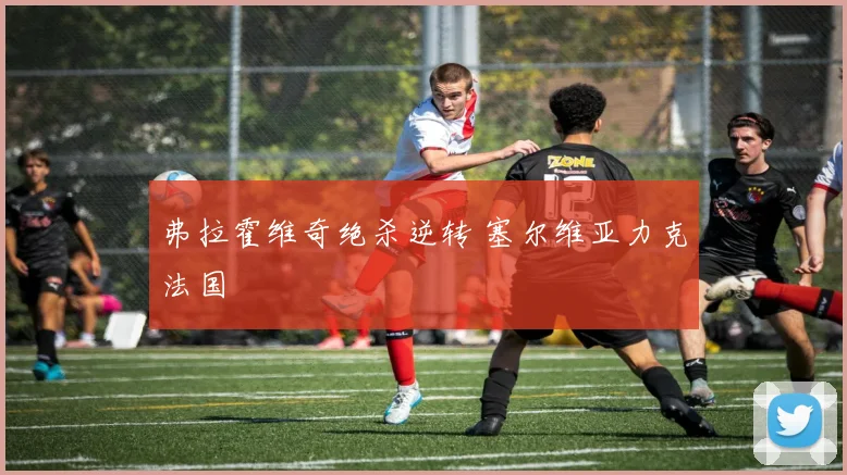 弗拉霍维奇绝杀逆转 塞尔维亚力克法国