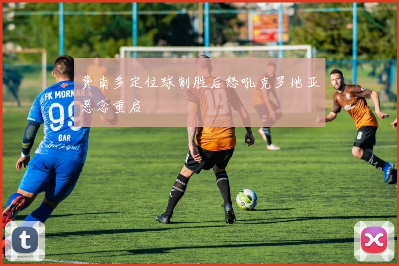 费南多定位球制胜后怒吼克罗地亚悬念重启