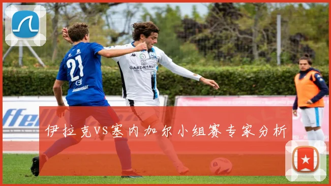 伊拉克vs塞内加尔小组赛专家分析