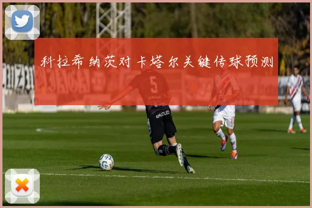 科拉希纳茨对卡塔尔关键传球预测