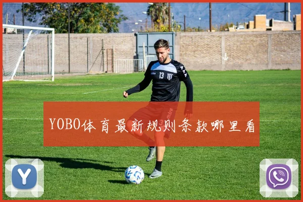 YOBO体育最新规则条款哪里看