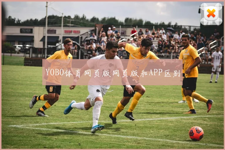 YOBO体育网页版网页版和APP区别