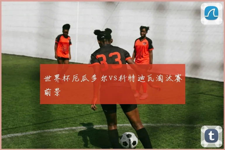 世界杯厄瓜多尔vs科特迪瓦淘汰赛前景