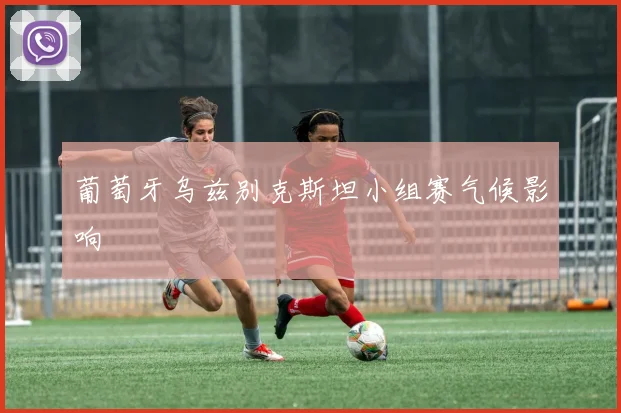 葡萄牙乌兹别克斯坦小组赛气候影响